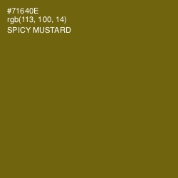 #71640E - Spicy Mustard Color Image