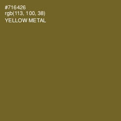 #716426 - Yellow Metal Color Image