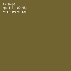 #716430 - Yellow Metal Color Image