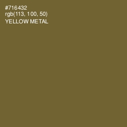 #716432 - Yellow Metal Color Image