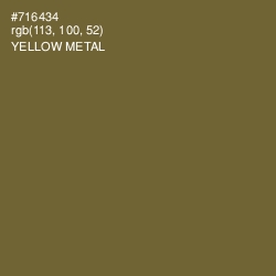 #716434 - Yellow Metal Color Image