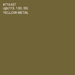 #716437 - Yellow Metal Color Image