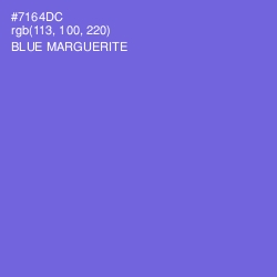 #7164DC - Blue Marguerite Color Image