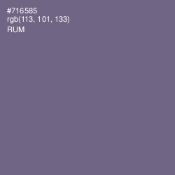 #716585 - Rum Color Image