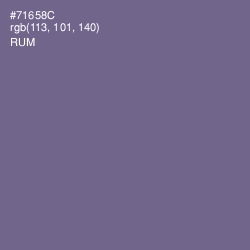 #71658C - Rum Color Image