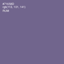 #71658D - Rum Color Image