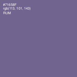 #71658F - Rum Color Image