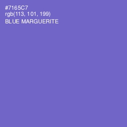 #7165C7 - Blue Marguerite Color Image