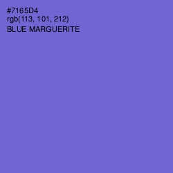 #7165D4 - Blue Marguerite Color Image