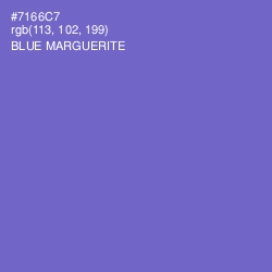 #7166C7 - Blue Marguerite Color Image