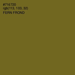 #716720 - Fern Frond Color Image