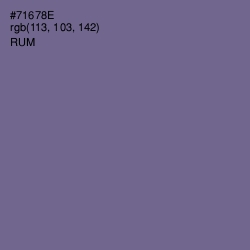 #71678E - Rum Color Image