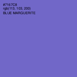 #7167C8 - Blue Marguerite Color Image