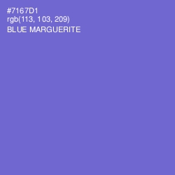 #7167D1 - Blue Marguerite Color Image