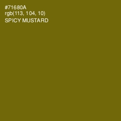 #71680A - Spicy Mustard Color Image