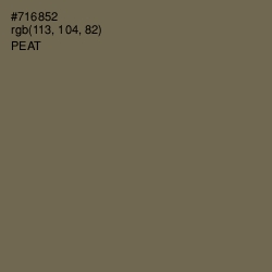 #716852 - Peat Color Image