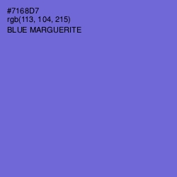 #7168D7 - Blue Marguerite Color Image