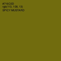 #716C0D - Spicy Mustard Color Image