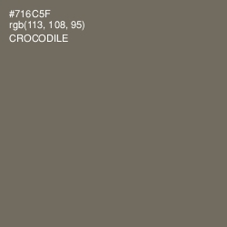 #716C5F - Crocodile Color Image