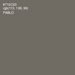 #716C63 - Pablo Color Image