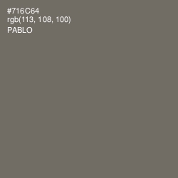 #716C64 - Pablo Color Image