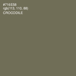 #716E58 - Crocodile Color Image