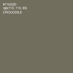 #716E5D - Crocodile Color Image