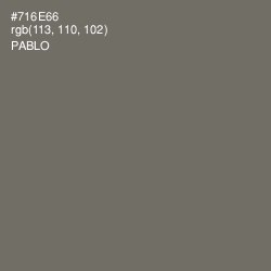#716E66 - Pablo Color Image