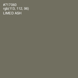 #717060 - Limed Ash Color Image