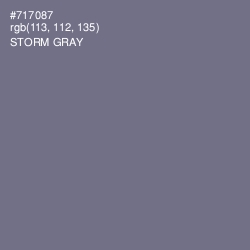 #717087 - Storm Gray Color Image