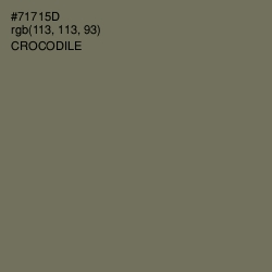 #71715D - Crocodile Color Image