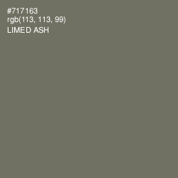 #717163 - Limed Ash Color Image