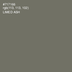 #717166 - Limed Ash Color Image