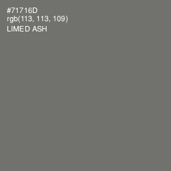 #71716D - Limed Ash Color Image