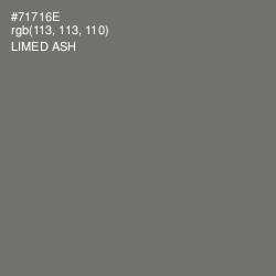 #71716E - Limed Ash Color Image