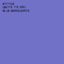 #7171C8 - Blue Marguerite Color Image