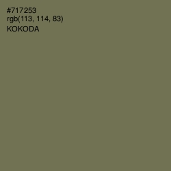 #717253 - Kokoda Color Image