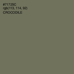 #71725C - Crocodile Color Image