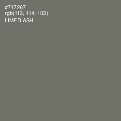 #717267 - Limed Ash Color Image