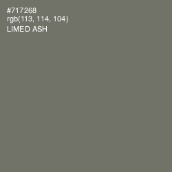 #717268 - Limed Ash Color Image