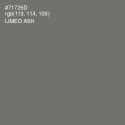 #71726D - Limed Ash Color Image