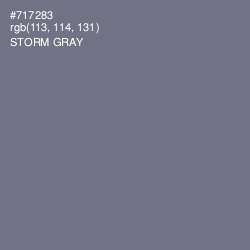#717283 - Storm Gray Color Image