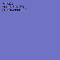 #7172C2 - Blue Marguerite Color Image