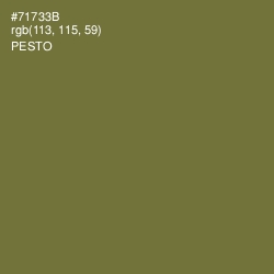 #71733B - Pesto Color Image