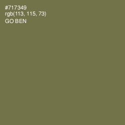 #717349 - Go Ben Color Image