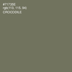 #71735E - Crocodile Color Image