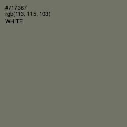 #717367 - Limed Ash Color Image