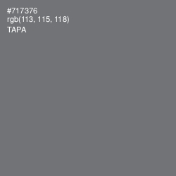 #717376 - Tapa Color Image