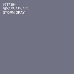#717384 - Storm Gray Color Image