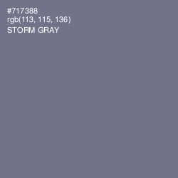 #717388 - Storm Gray Color Image